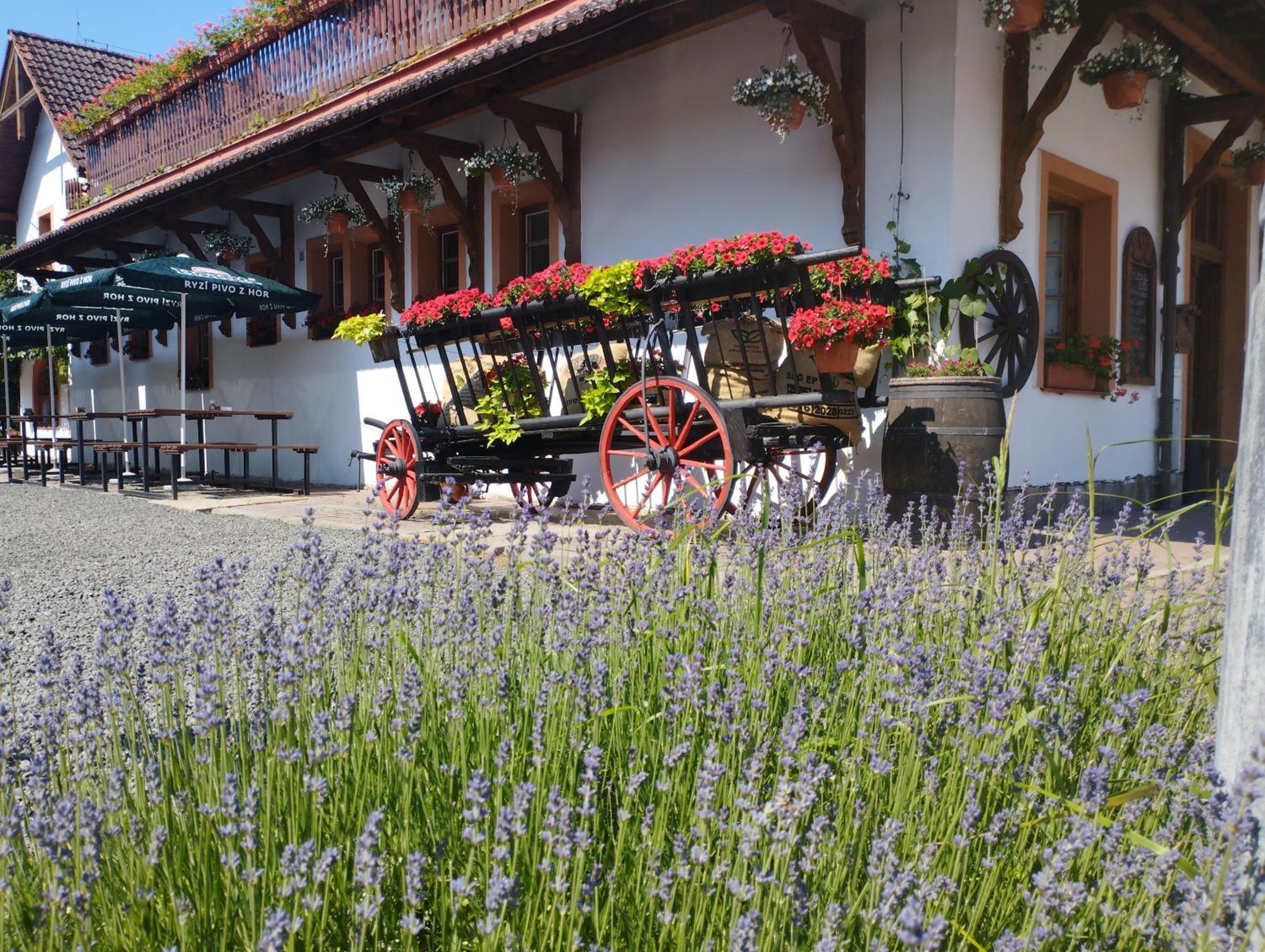 Penzion Restaurace u Helferů Libuň Exterior foto